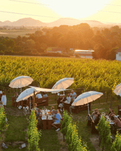 Lade das Bild in den Galerie-Viewer, Ticket für &quot;DINNER im Weinberg&quot; in Insheim (bei Landau) am 03. &amp; 04. Juni 2026

