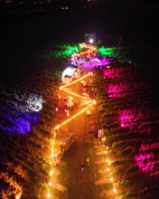 Lade das Bild in den Galerie-Viewer, Ticket für &quot;DINNER im Weinberg&quot; in Insheim (bei Landau) am 03. &amp; 04. Juni 2026
