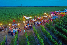 Lade das Bild in den Galerie-Viewer, Ticket für &quot;DINNER im Weinberg am 18. &amp; 19. Juni 2025&quot; in Insheim (bei Landau)
