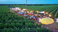 Lade das Bild in den Galerie-Viewer, Ticket für &quot;DINNER im Weinberg am 18. &amp; 19. Juni 2025&quot; in Insheim (bei Landau)
